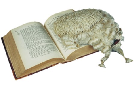 book.jpg (28855 bytes)