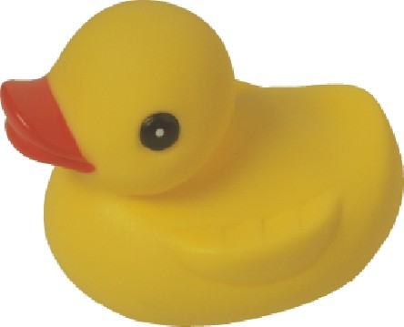 duck.jpg (16664 bytes)