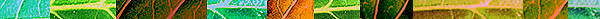 hruler03.jpg (20065 bytes)